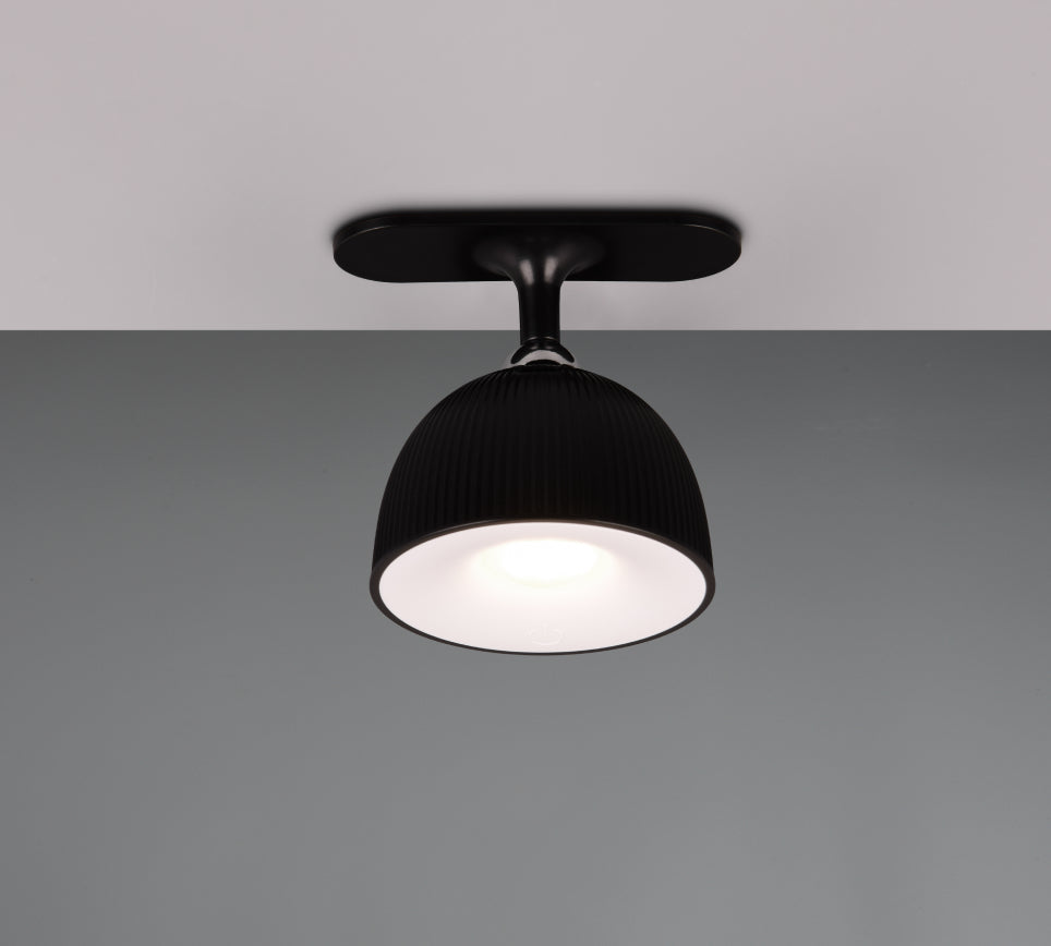 Lampada Maxima