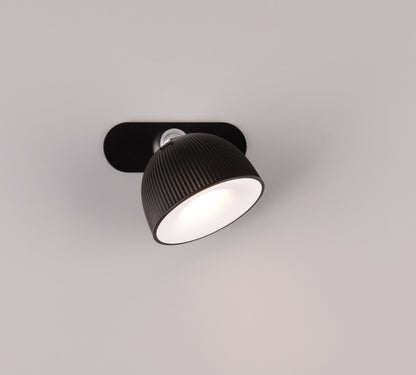 Maxima lamp